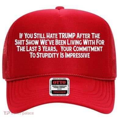 Commitment To Stupidity Trump 2024 Maga Hat