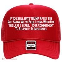 Commitment To Stupidity Trump 2024 Maga Hat thumb 0