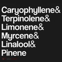 Cannabis Terpenes Terps List Marijuana Smoker Toker 420 Weed Women's Hoodie thumb 2