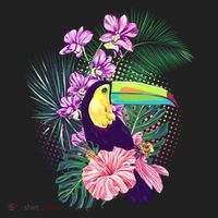 Cute Tropical Toucan Bird Women's Sweatshirt thumb 2