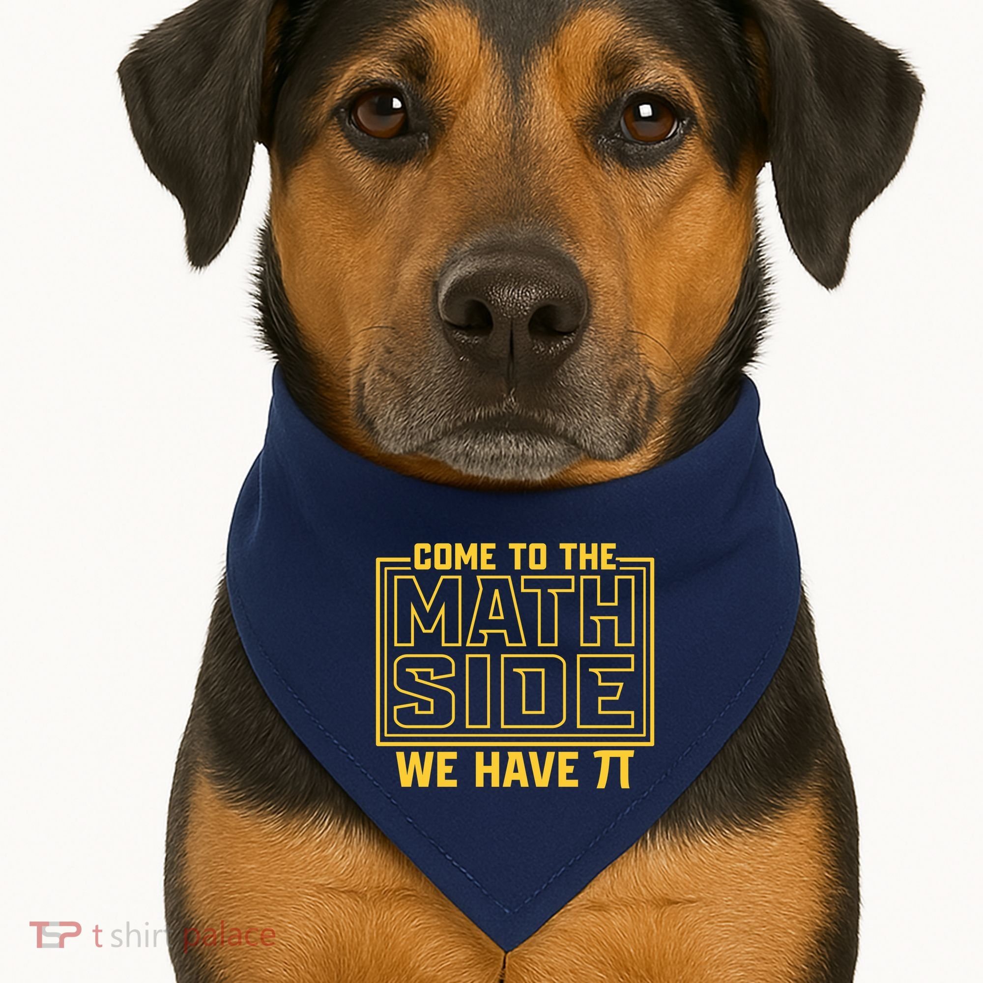 Come To The Math Side We Have Pi USA-Made Doggie Bandana