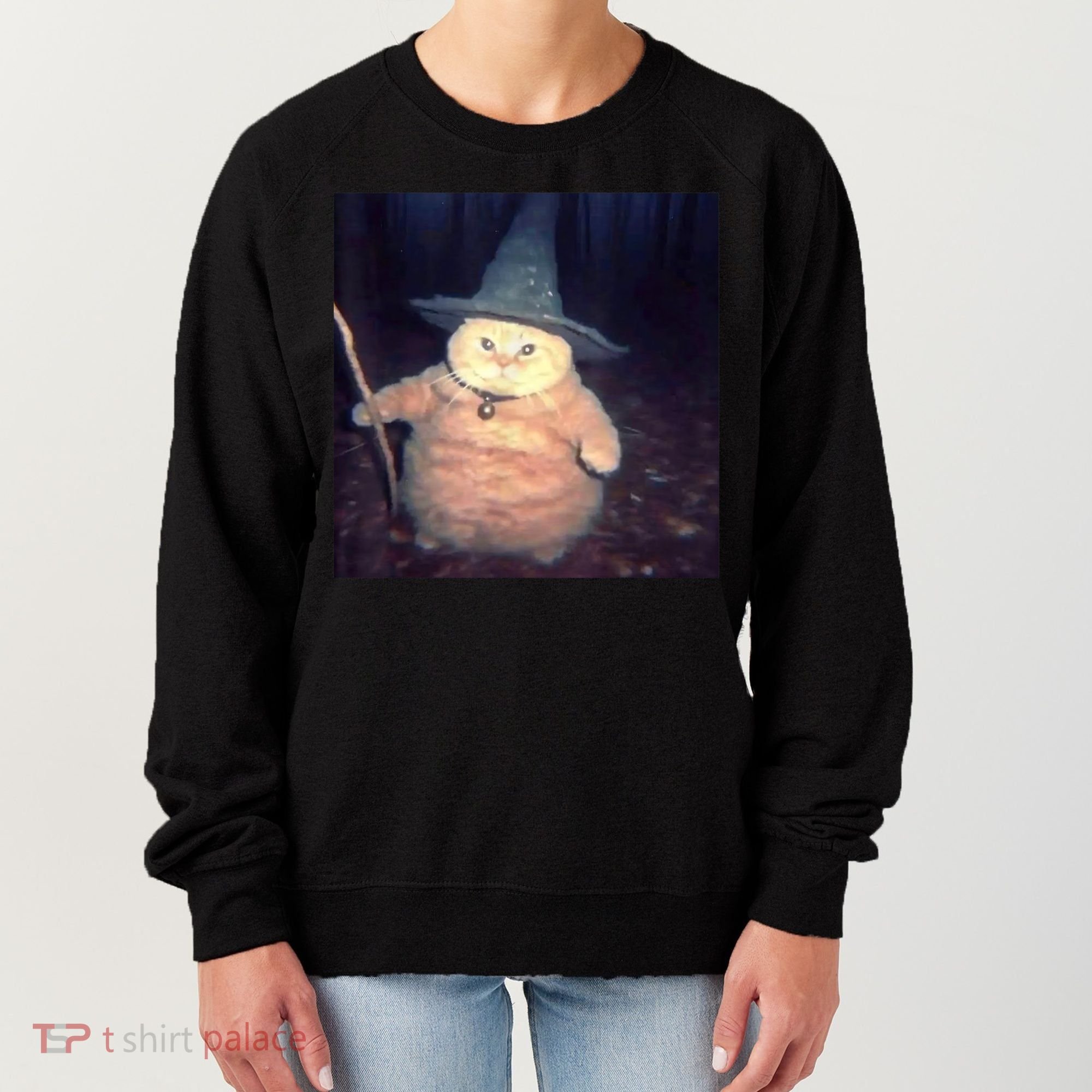 Cheeseball The Wizard Cat Meme Women's Sweatshirt