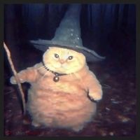Cheeseball The Wizard Cat Meme Women's Sweatshirt thumb 2