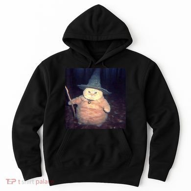 Cheeseball The Wizard Cat Meme Hoodie