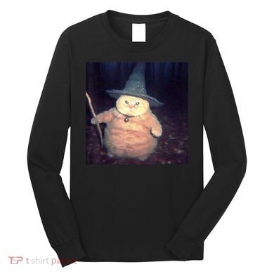 Cheeseball The Wizard Cat Meme Long Sleeve Shirt