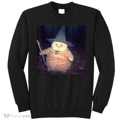Cheeseball The Wizard Cat Meme Sweatshirt