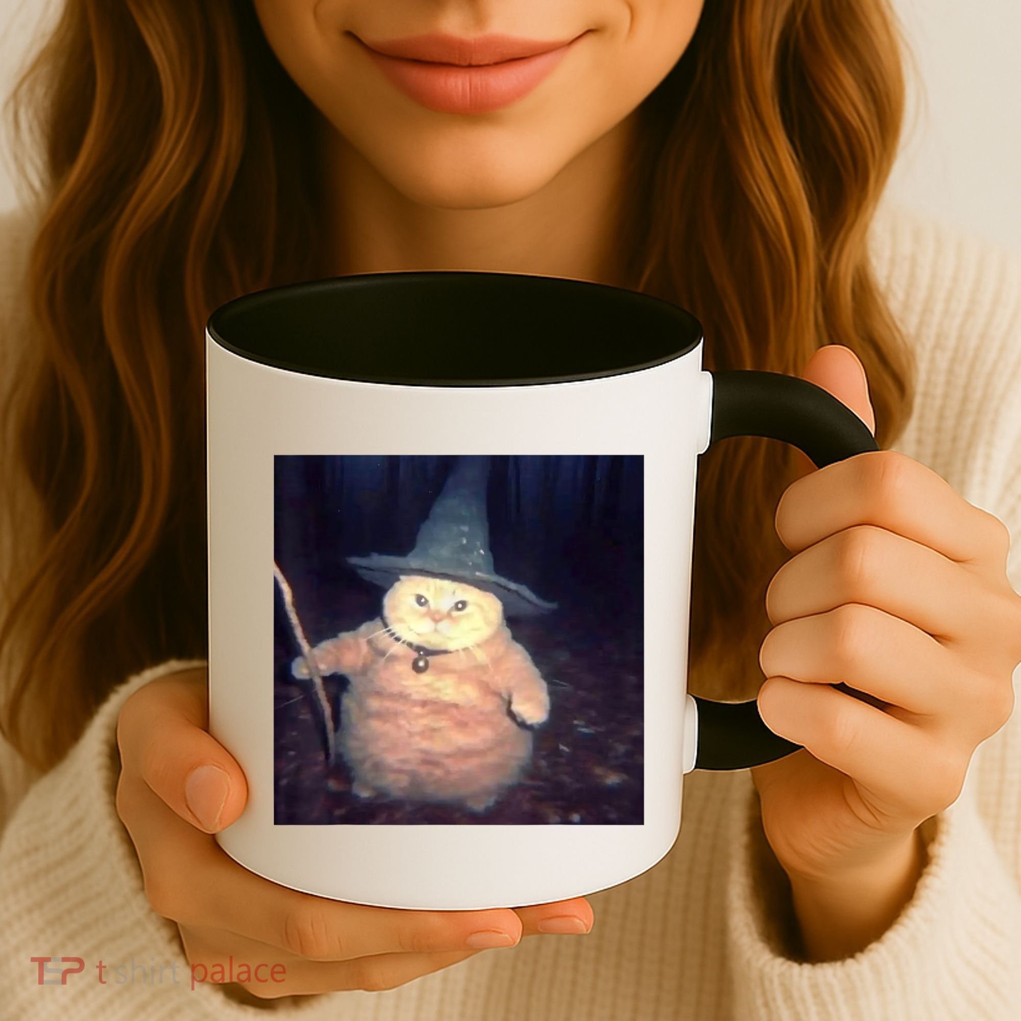 Cheeseball The Wizard Cat Meme Coffee Mug