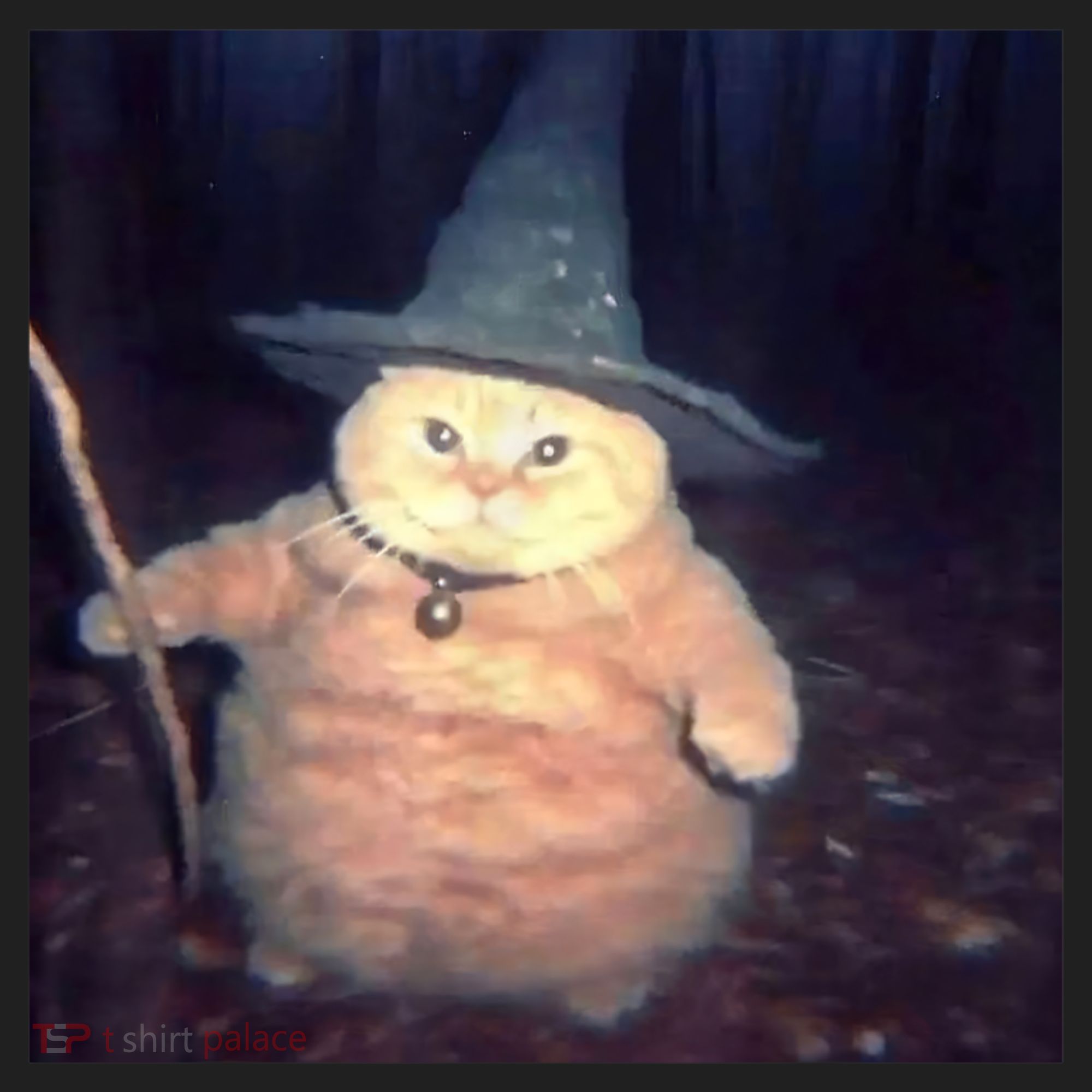 Cheeseball The Wizard Cat Meme Tumbler