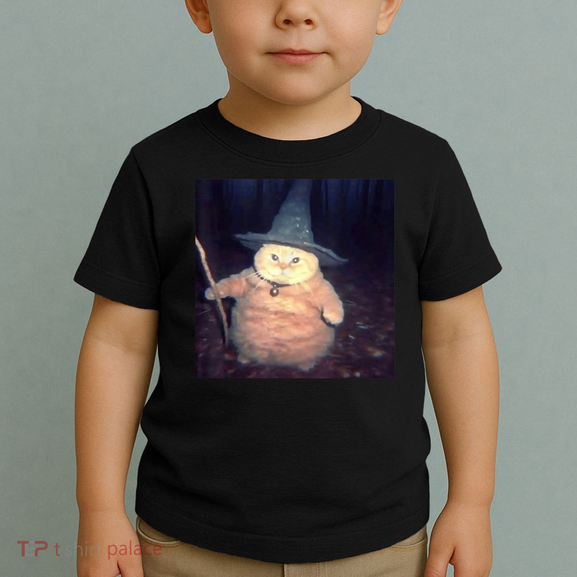 Cheeseball The Wizard Cat Meme Toddler T-Shirt