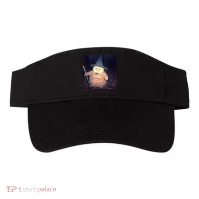 Visor