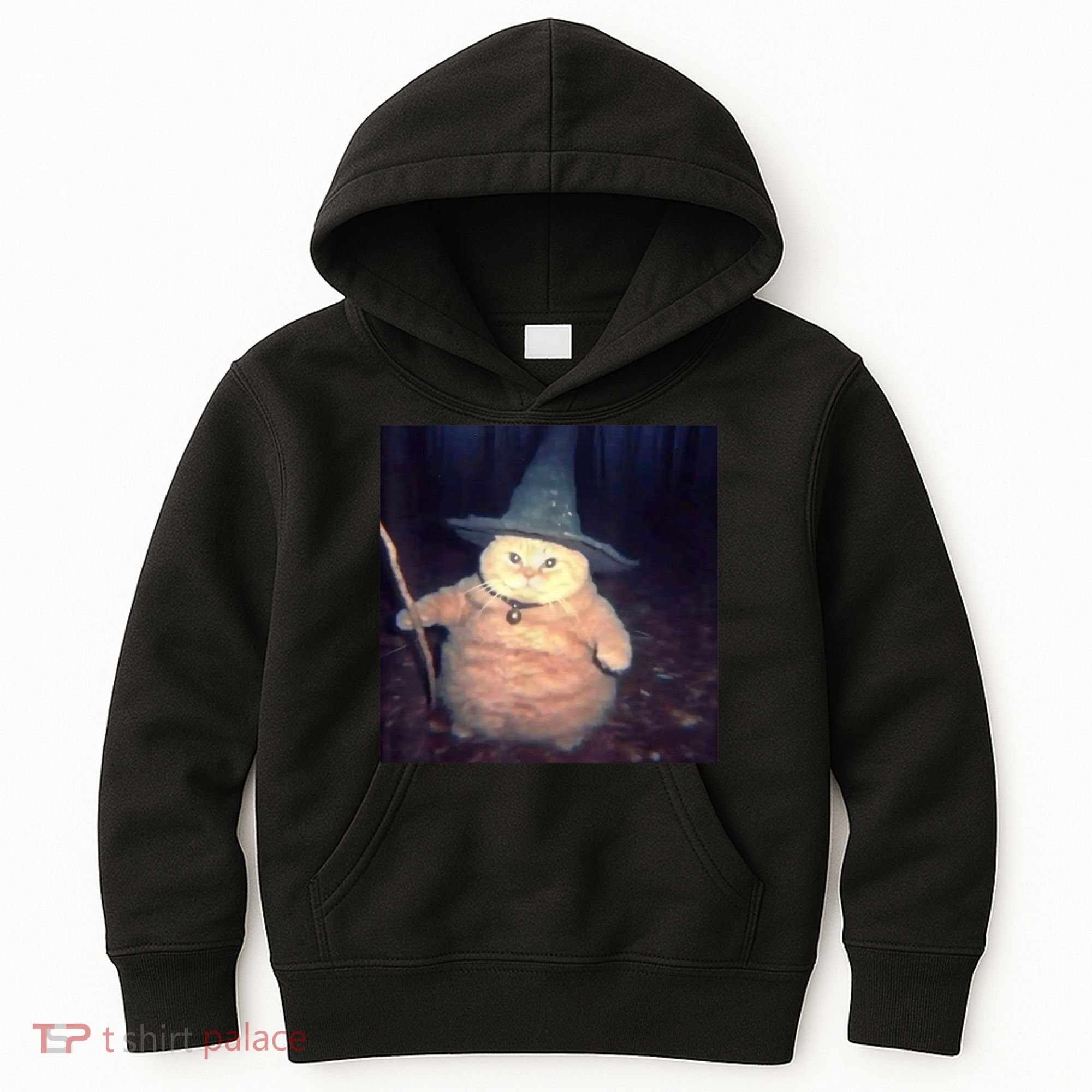 Cheeseball The Wizard Cat Meme Kids Hoodie