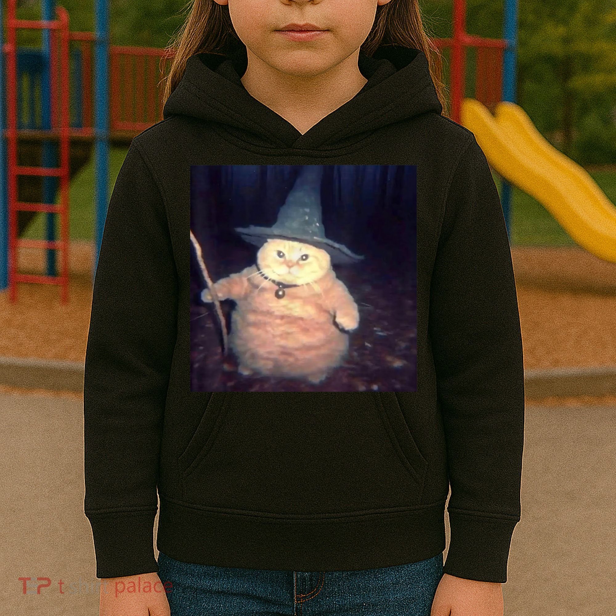 Cheeseball The Wizard Cat Meme Kids Hoodie