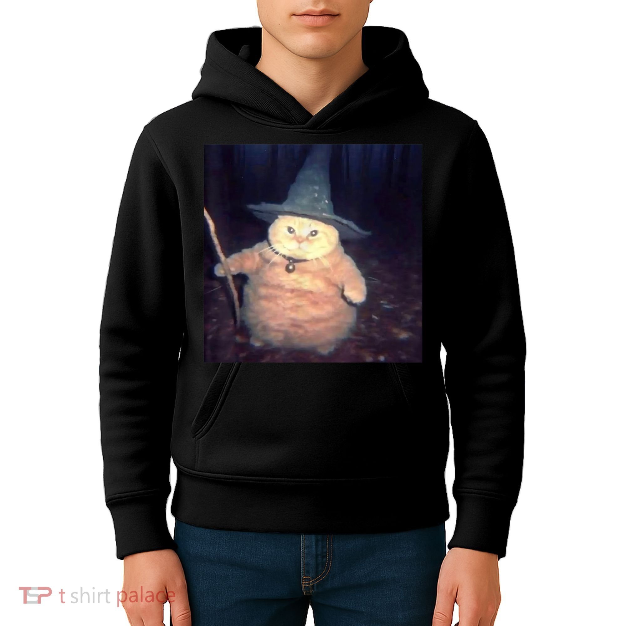 Cheeseball The Wizard Cat Meme Kids Hoodie