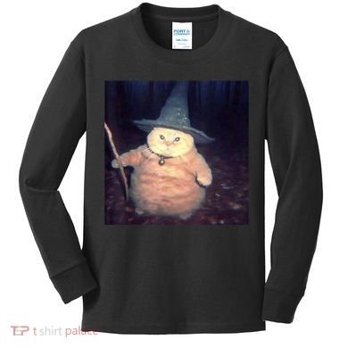 Cheeseball The Wizard Cat Meme Kids Long Sleeve Shirt