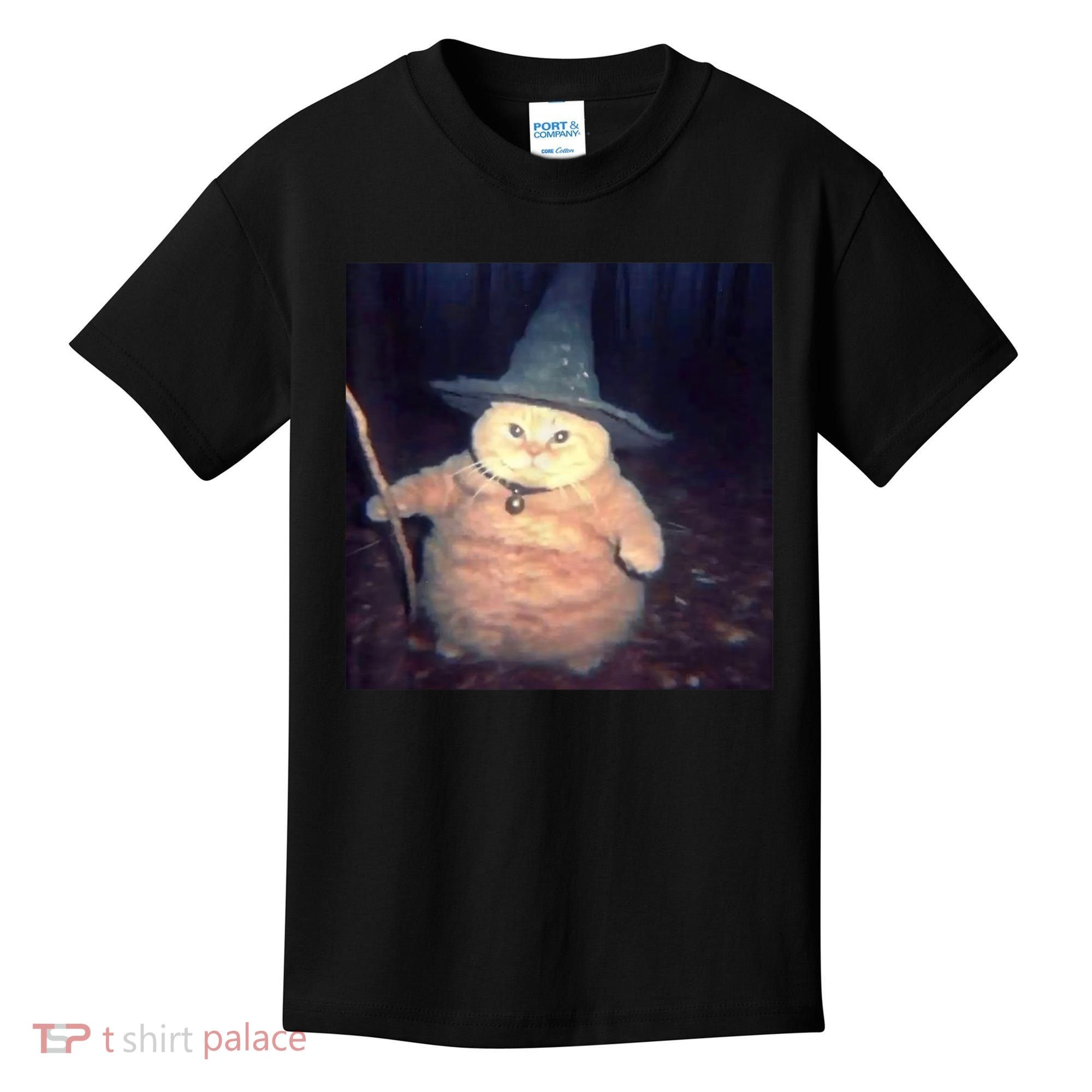 Cheeseball The Wizard Cat Meme Kids T-Shirt