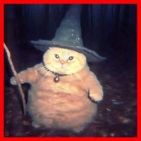 Cheeseball The Wizard Cat Meme Santa Hat thumb 1