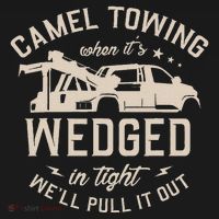 Camel Towing When ItS Wedged In Tight WeLl Pull It Out Kids Hoodie thumb 5