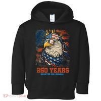 Celebrate USA 250 Years Quarter Millennial Eagle  Toddler Hoodie thumb 0