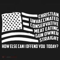 Christian Unvaccinated ... How Else Can I Offend You Today USA-Made Doggie Bandana thumb 2