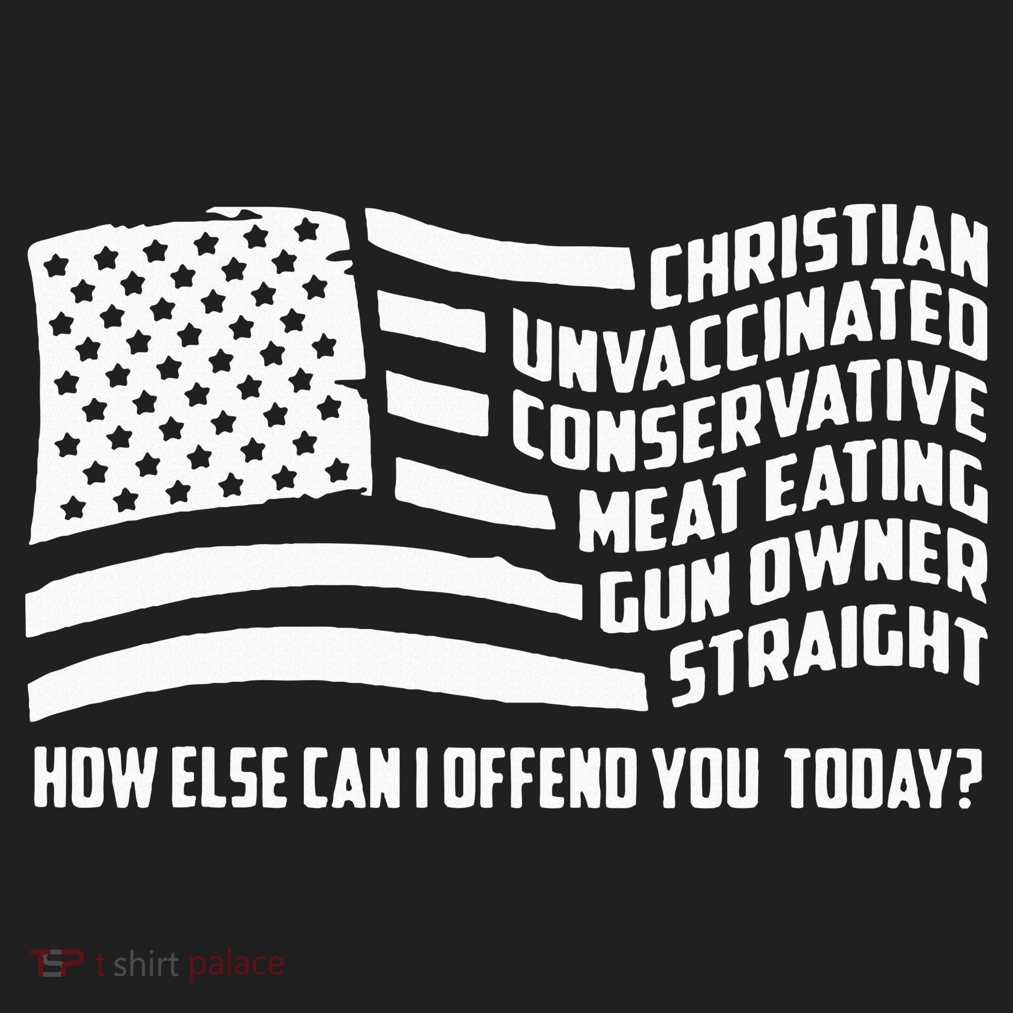 Christian Unvaccinated ... How Else Can I Offend You Today Hat