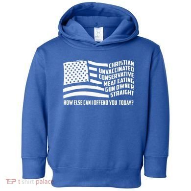 Christian Unvaccinated ... How Else Can I Offend You Today Toddler Hoodie