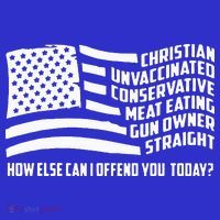Christian Unvaccinated ... How Else Can I Offend You Today Kids Hoodie thumb 5
