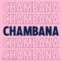 Champaign Urbana Illinois Home State Coaster thumb 2