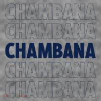 Champaign Urbana Illinois Home State Toddler Hoodie thumb 2