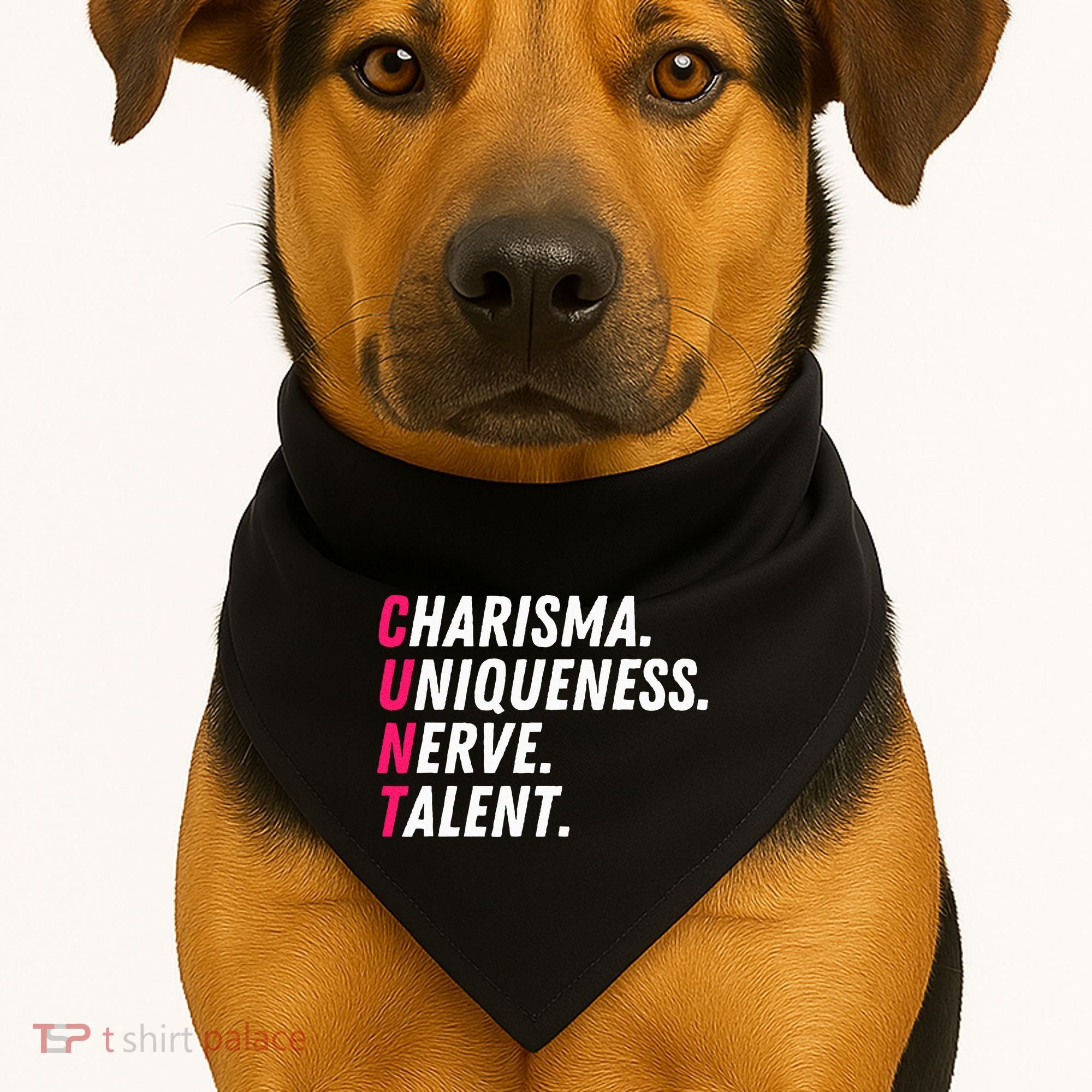 Charisma Uniqueness Nerve Talent Drag Race Queen Quote USA-Made Doggie Bandana