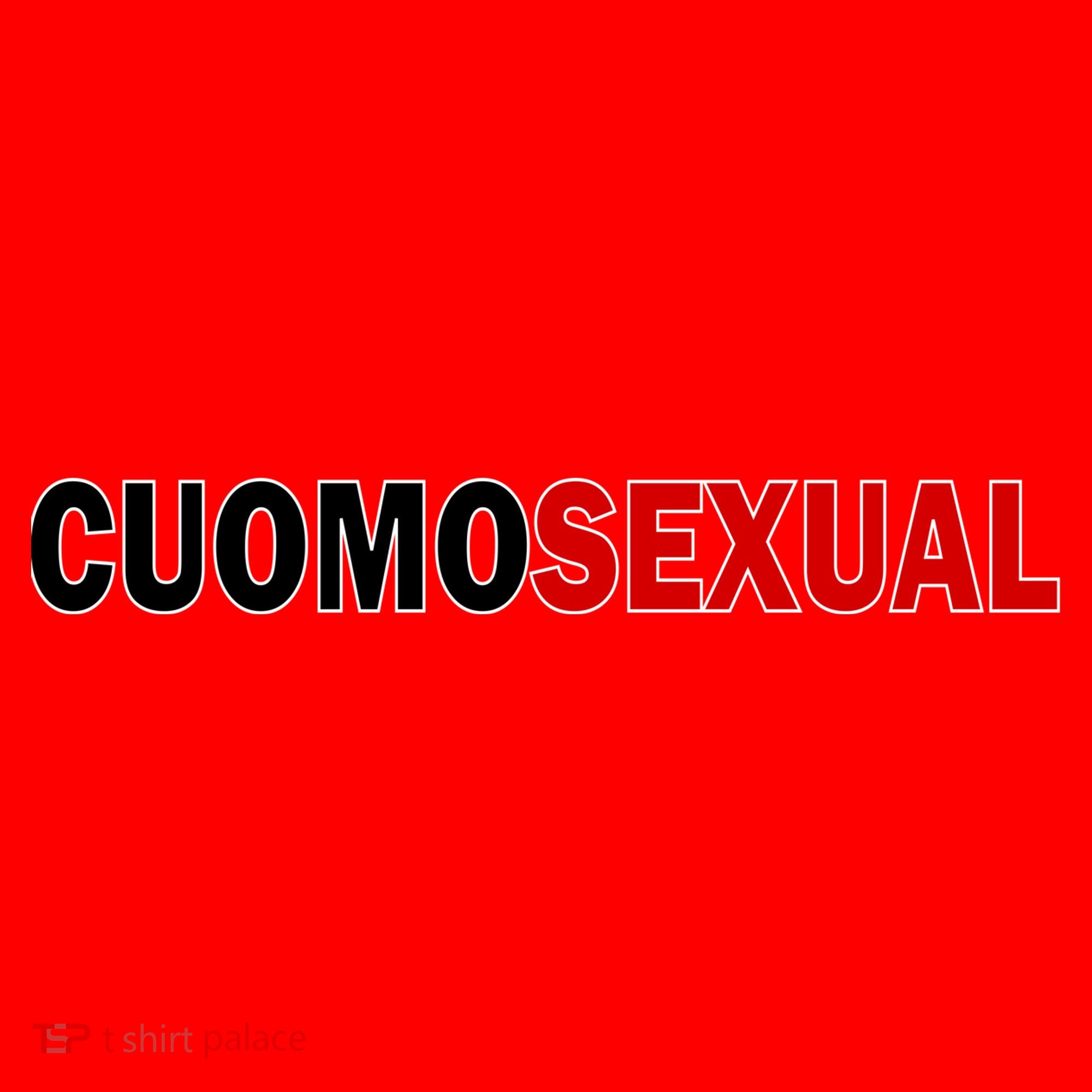 Cuomosexual Santa Hat