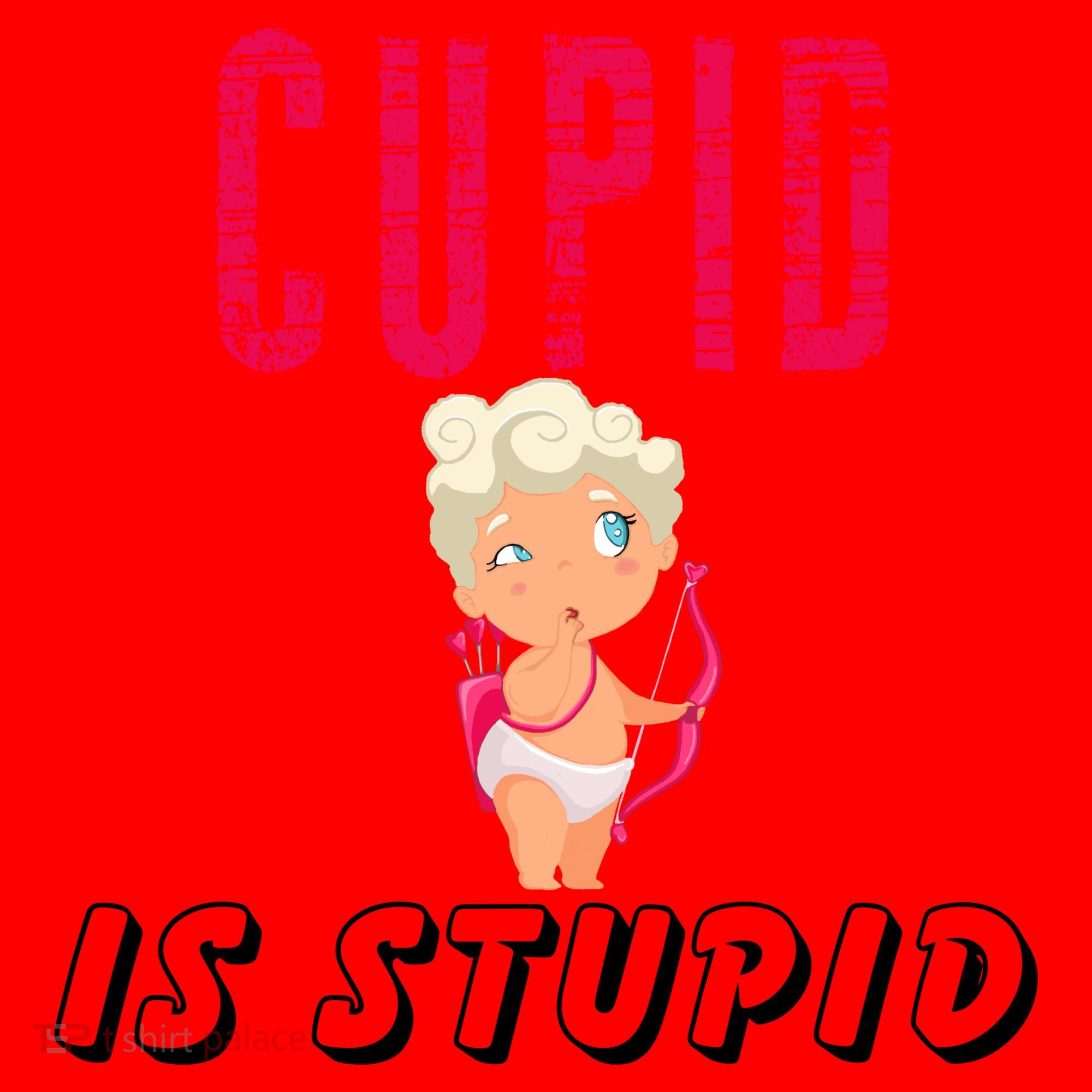 Cupid Is Stupid Santa Hat