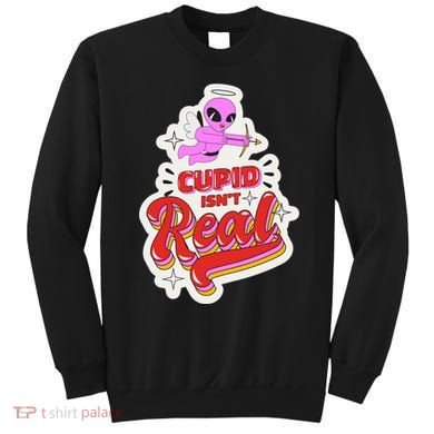 Cupid Isn't Real Funny Valentine's Day Sweatshirt