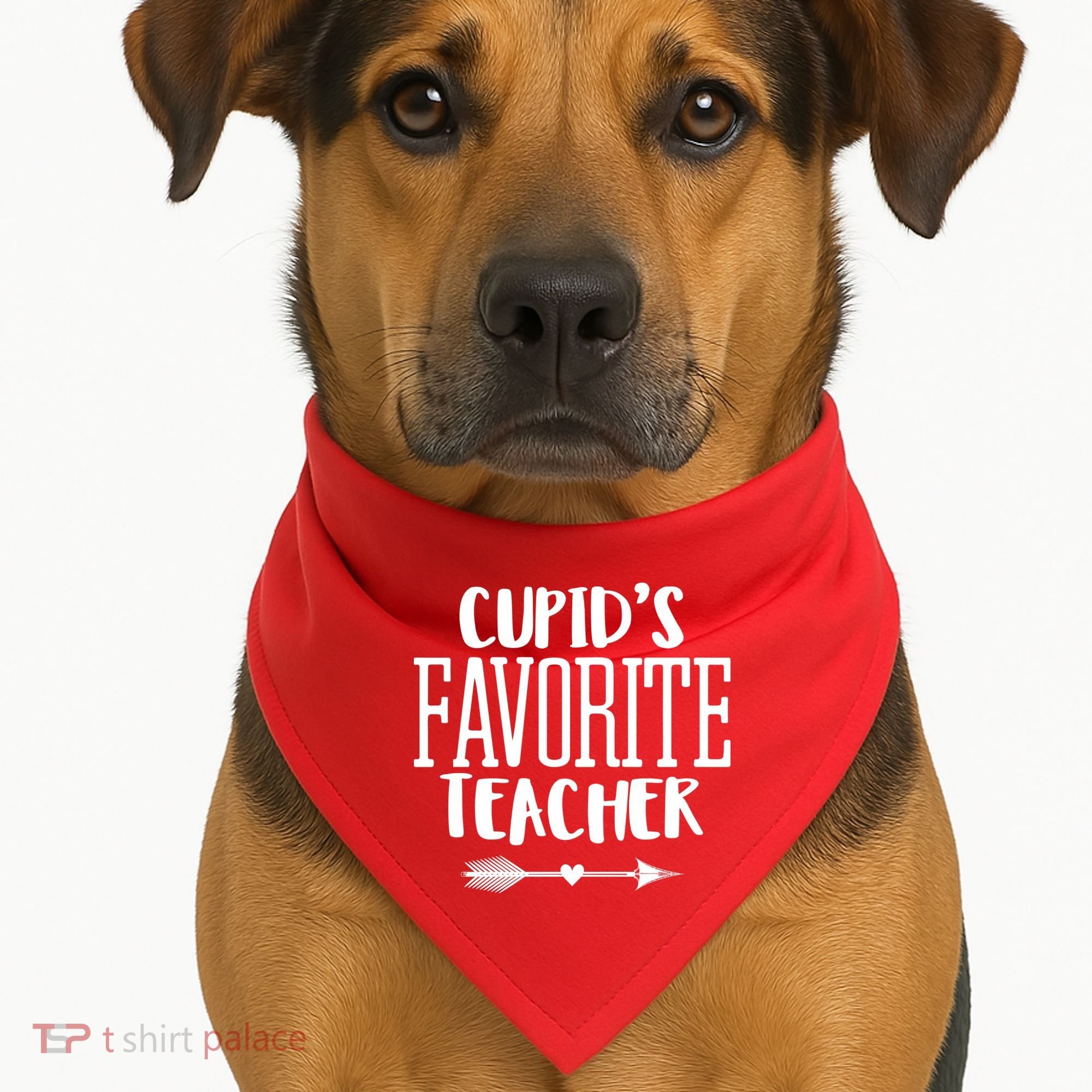 Cupid's Favorite Teacher USA-Made Doggie Bandana