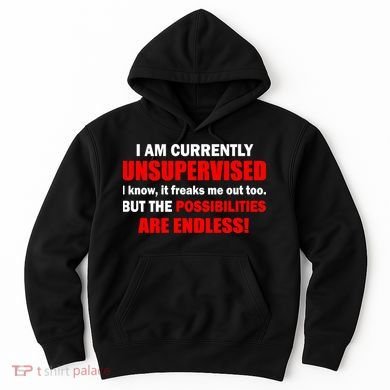 Currently Unsupervised Possibilities Are Endless Hoodie