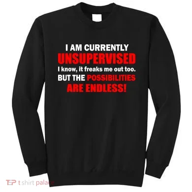 Currently Unsupervised Possibilities Are Endless Sweatshirt