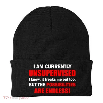 Currently Unsupervised Possibilities Are Endless Beanie
