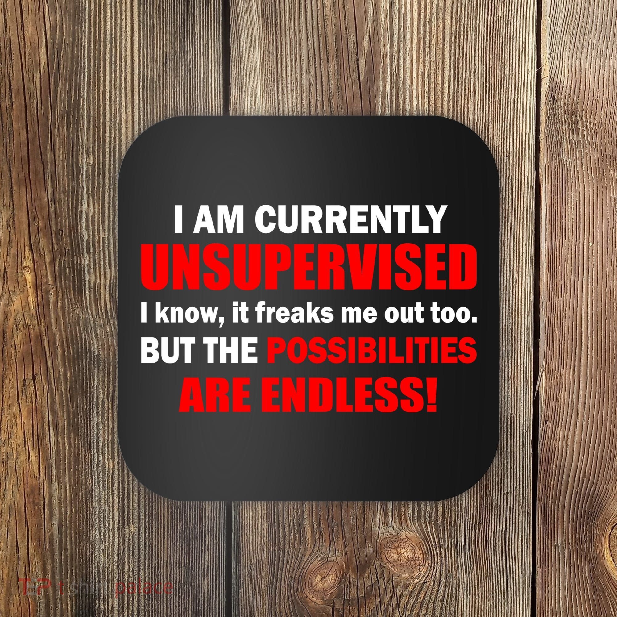 Currently Unsupervised Possibilities Are Endless Coaster