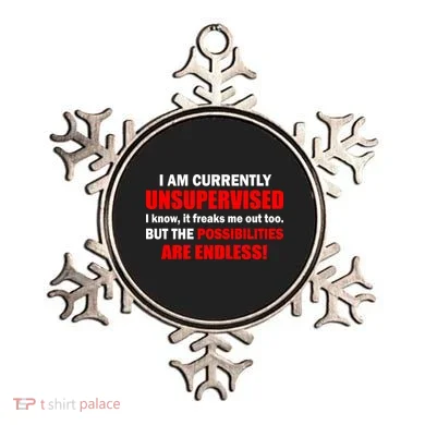 Currently Unsupervised Possibilities Are Endless Ornament