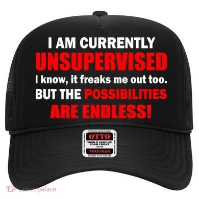 Currently Unsupervised Possibilities Are Endless Hat