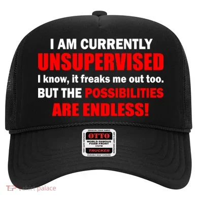 Currently Unsupervised Possibilities Are Endless Hat