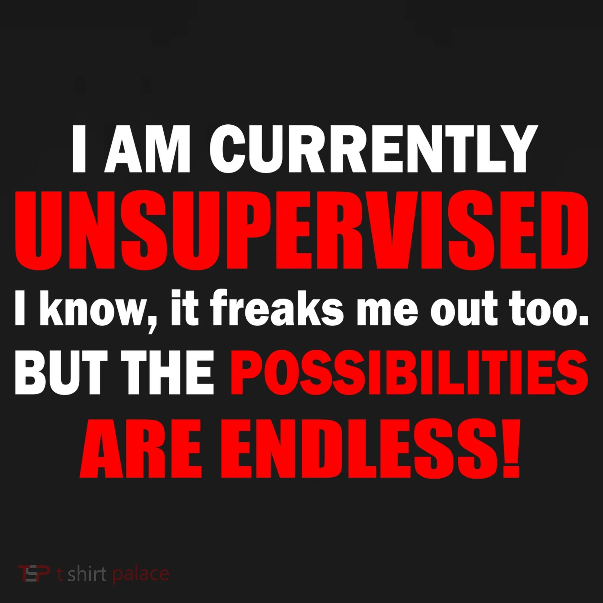 Currently Unsupervised Possibilities Are Endless Toddler Hoodie