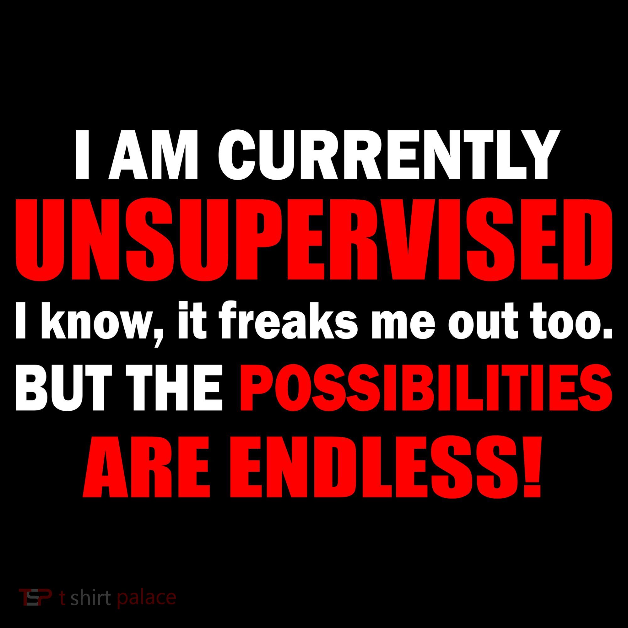 Currently Unsupervised Possibilities Are Endless Women's Long Sleeve Shirt