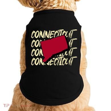 Connecticut Usa State American State Ct Conn Is Home Doggie Tank