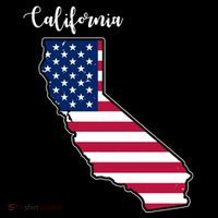 California United States Map Ornament thumb 1