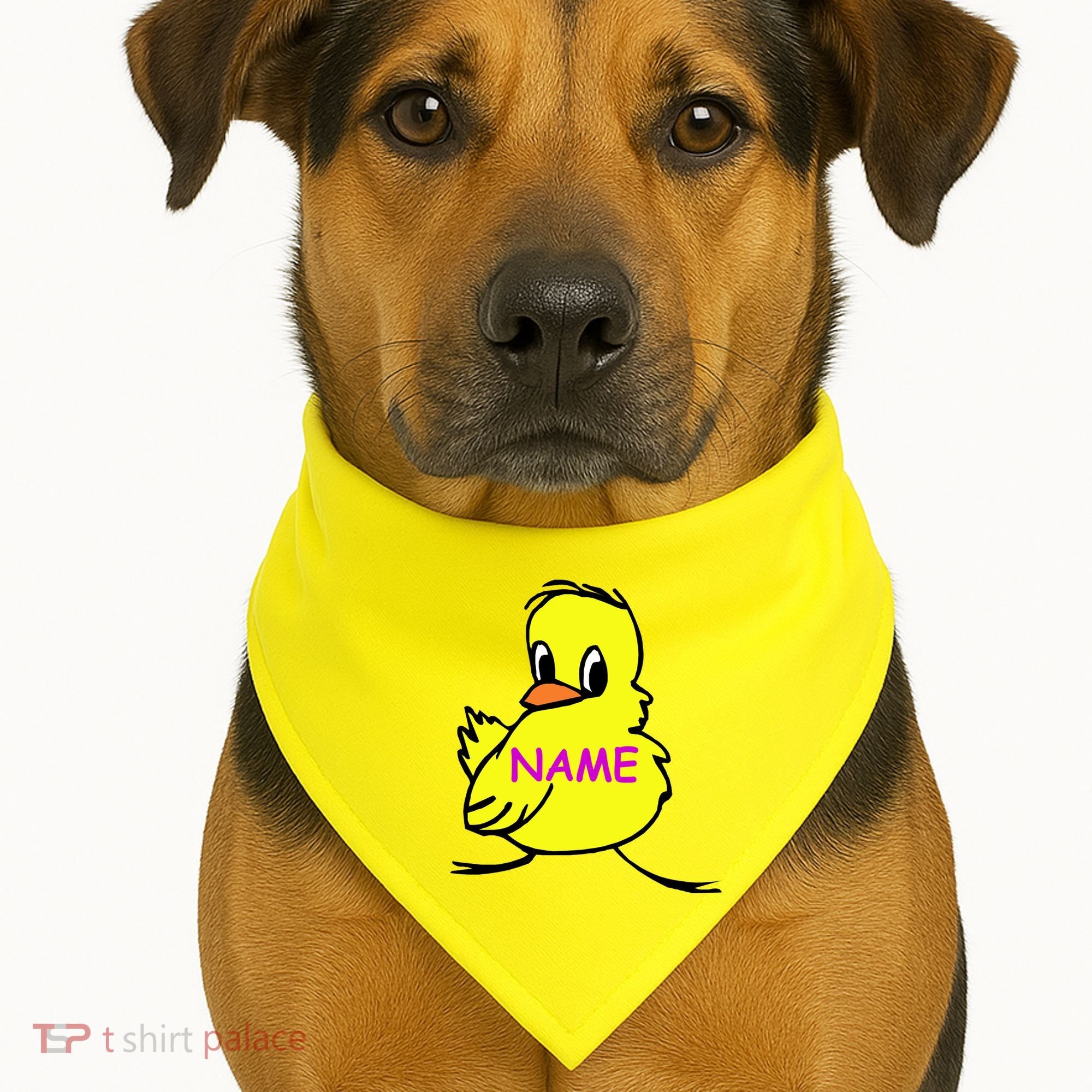 Custom Chick Funny Cute Personalize USA-Made Doggie Bandana