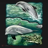 Cute Abstract dolphins In Sea Life Toddler Hoodie thumb 2