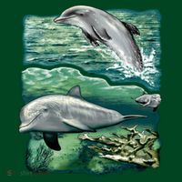 Cute Abstract dolphins In Sea Life Apron thumb 3