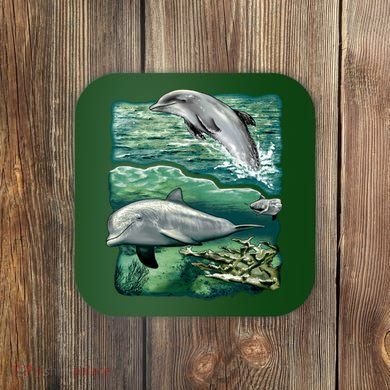 Cute Abstract dolphins In Sea Life Coaster