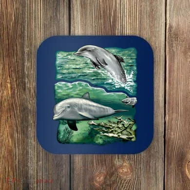 Coaster