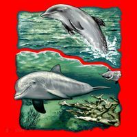 Cute Abstract dolphins In Sea Life Santa Hat thumb 1